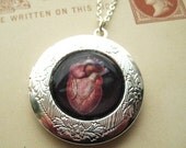 Anatomical Victorian Valentine Anatomy Heart Locket from Hoolala