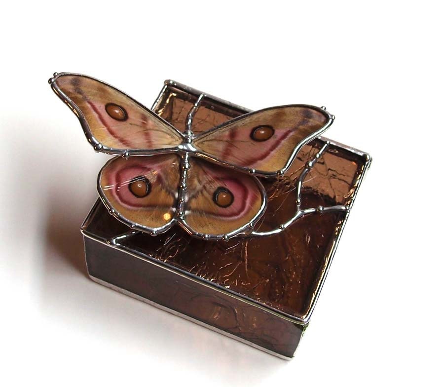 Amber Stained Glass Jewelry Box with Real Pink Suraka Silk Moth