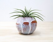 terracotta pinch pot planter - blue and white drippy glaze - perfect for cuttings, succulent or cactus
