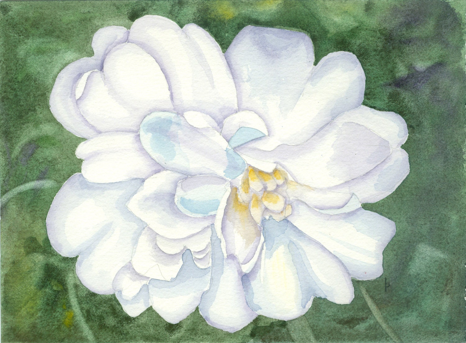 floral SFA watercolor PEONY white original