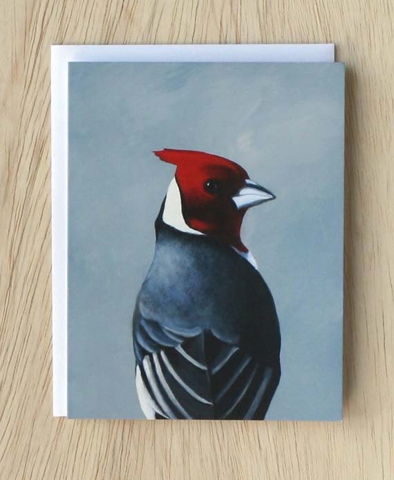 The Popular Fallacy - NOTE CARD