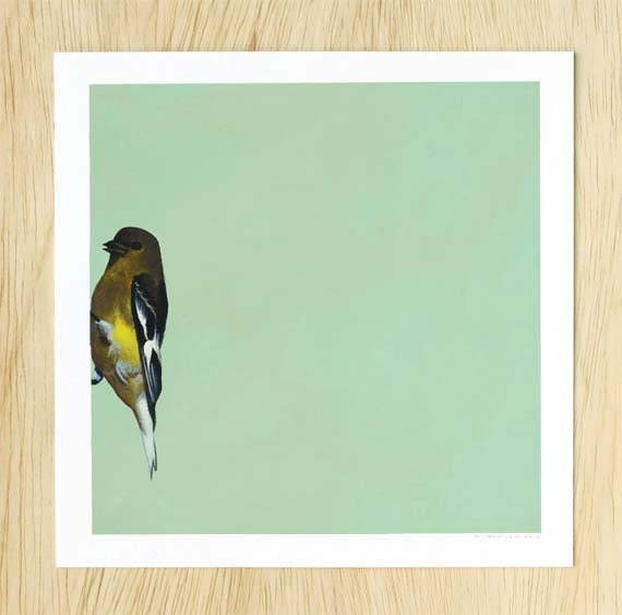 Putting The Freak In Freak Accidents  - bird 8 x 8 FINE ART PRINT