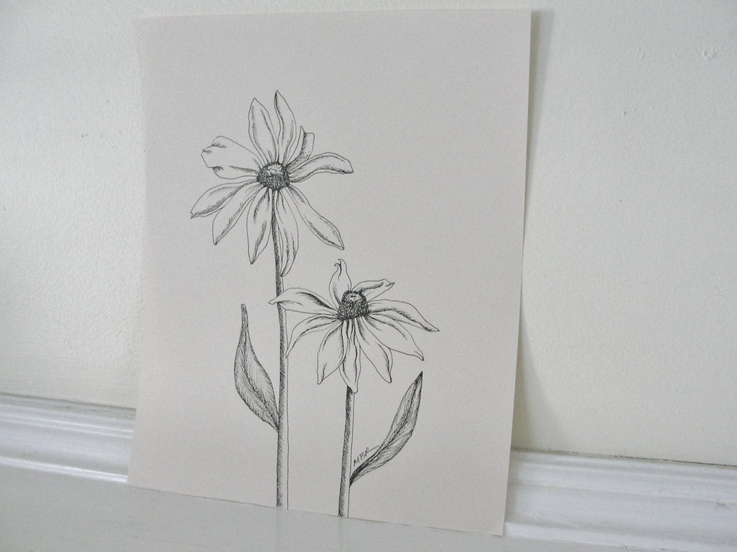 Original Ink Drawing, Black eyed Susan Botanical Drawing, Summer Flower, Pen and Ink, Black on Cream, Daisy Art, Flower Illustration 8 x 10