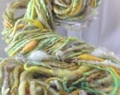 Handspun  Yarn - VEGGIE GARDEN