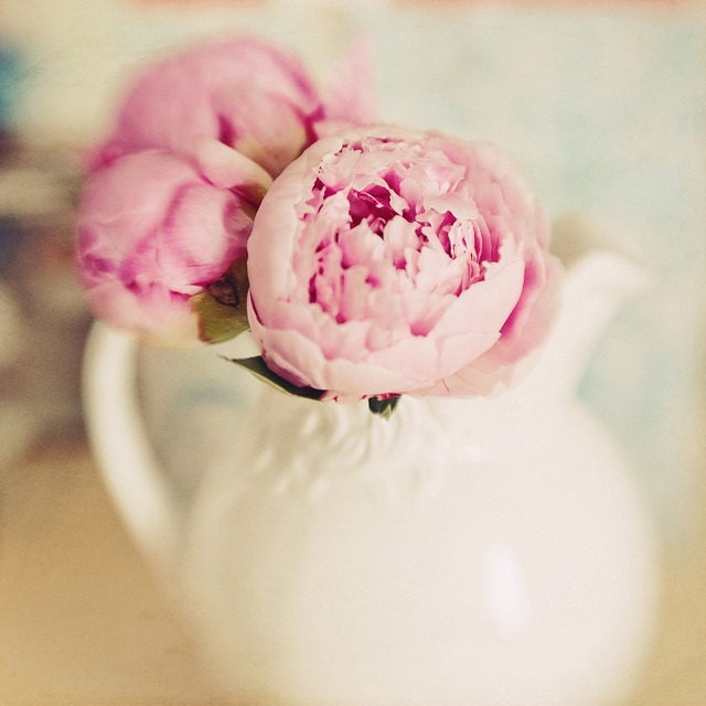 Fine Art Photography Pink Peony Blooms 8x8 Print Modern Wall Decor Home Decor