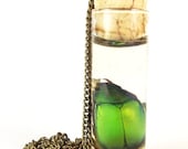 Shining Beetle Necklace