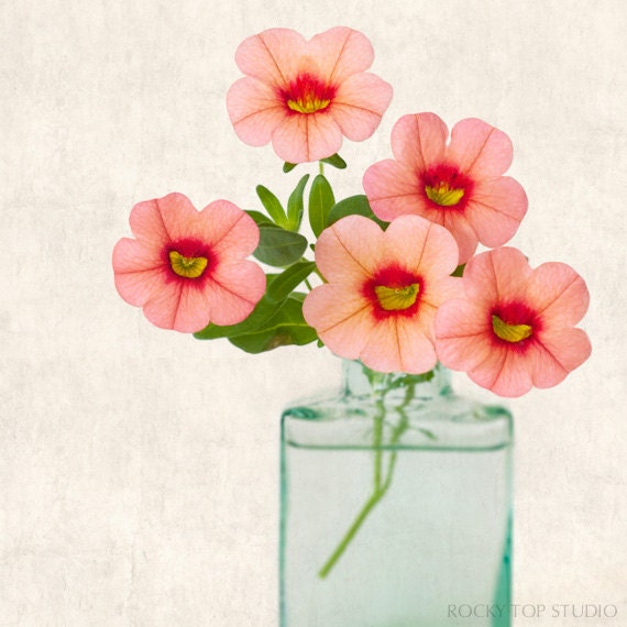 Botanical Art Print, Flower Photograph, Shabby Chic Artwork, Flower Print, Flower Wall Decor, Nature Photography, "Pink Calibrachoa"