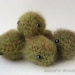 Sickly Marimo - Moss Ball - Amigurumi