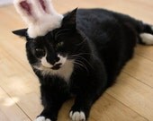 Easter Bunny Cat Hat