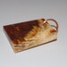Tuscarora Petrified Wod Designer Pendant by PrairieJewel of Etsy