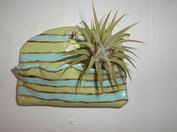 Handmade Wall Pocket Green Blue Gold Striped  OOAK Moss Dried Flowers Tillandsia Air Plants Holder    BIG SALE
