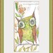 green owl - watercolor painting - bird art - limited edition and archival print-  5 x 10 inches - by cori dantini