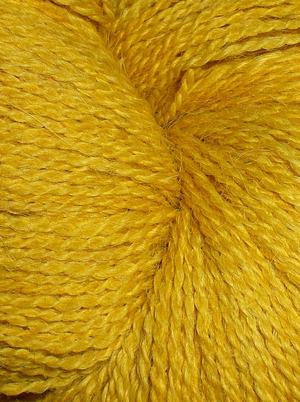All American Lace - Gilt
