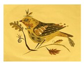 Spinus Bird 11" x 8.5"