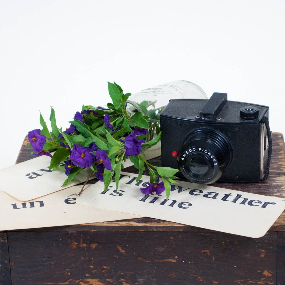 Ansco Pioneer Vintage Camera