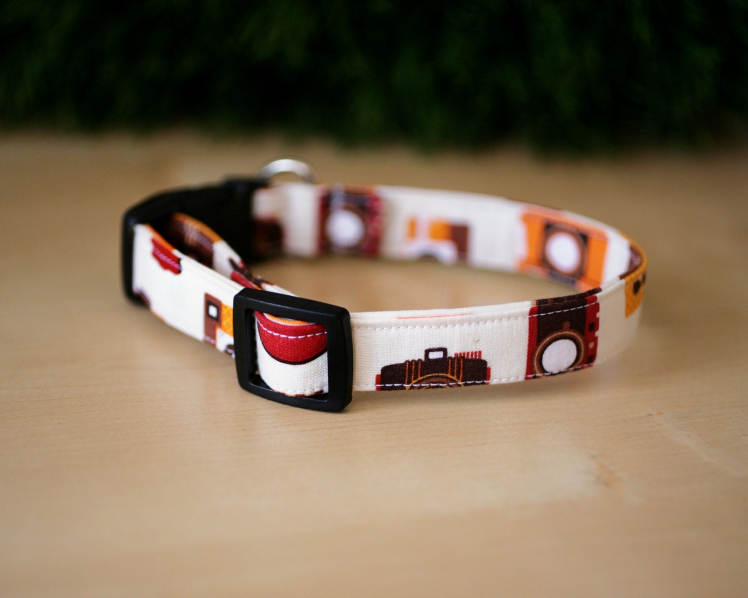 3/4" Wide - CAMERA print - Dog Collar
