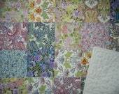 Springtime Baby Quilt Minky and cotton lawn super soft