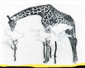 CHARITY / giraffe poster/archival print
