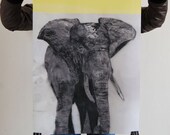 CHARITY / elephant poster/archival print
