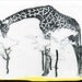 CHARITY / giraffe poster/archival print