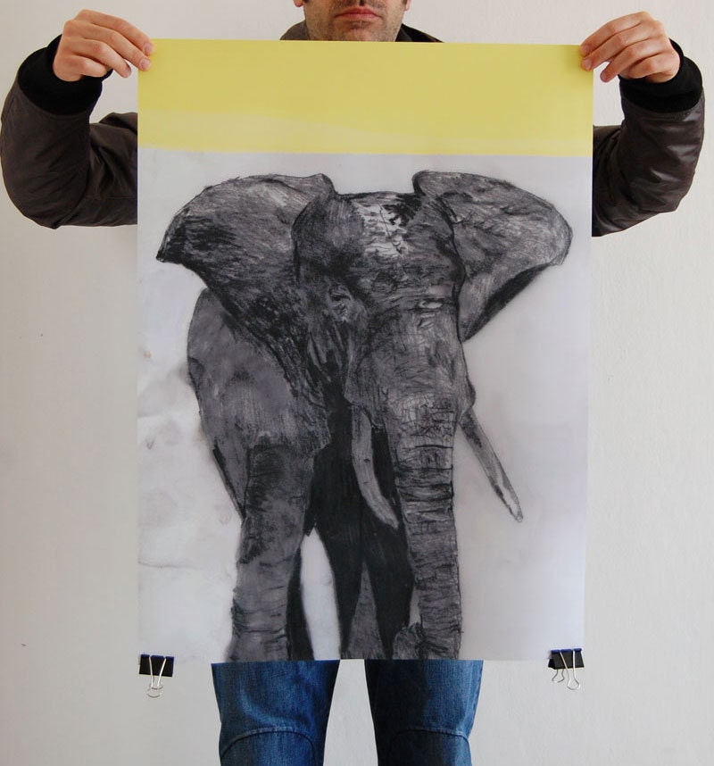 CHARITY / elephant poster/archival print