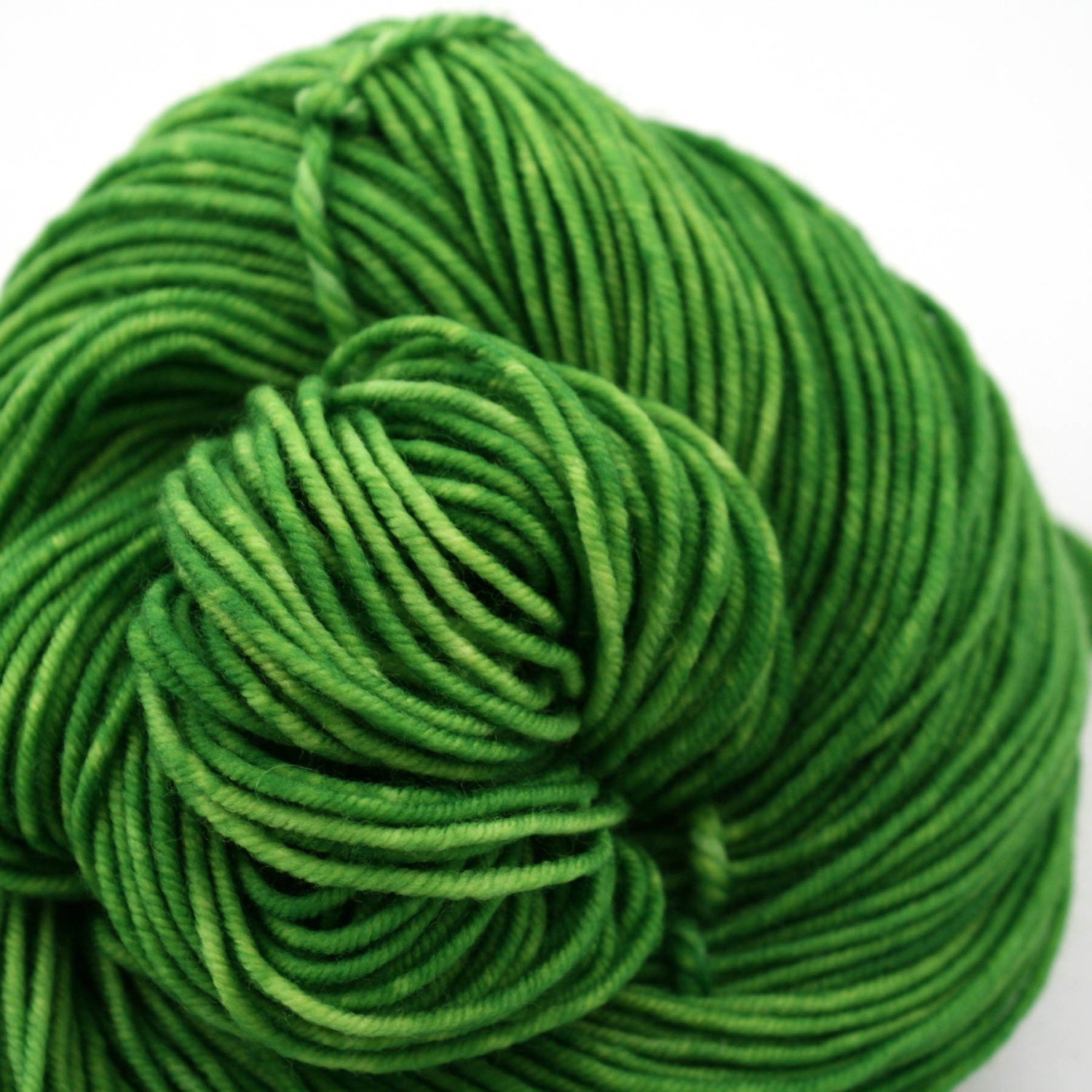 Superwash Merino Hand Painted worsted weight 240 yds Leaf