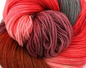 Hand Painted Merino Cashmere Sock Yarn 435 yds 100g Tompkins Square