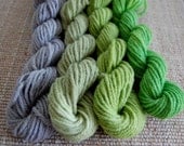 Emerald City Gradient  Dyed Mini Skeins Organic Merino Aran Yarn