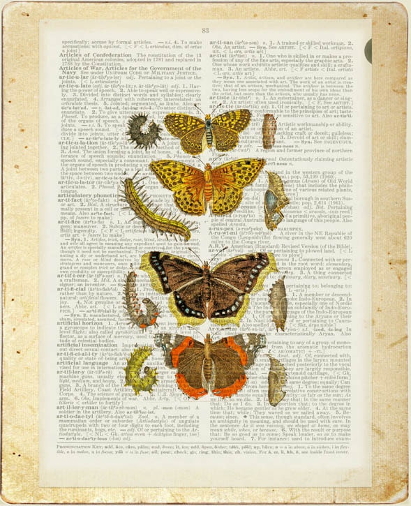 butterflies II - vintage butterflies artwork - printed on page from old dictionary