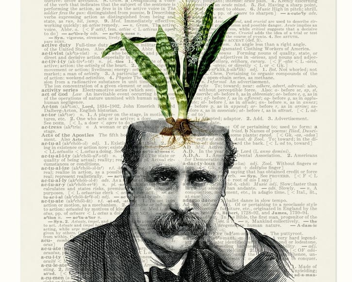 Potted plant - mother-in-laws tongue - printed on page from old dictionary