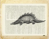 dinosaur Stegosaurus - vintage artwork printed on page from old dictionary