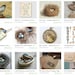 bird nest - vintage artwork with three eggs - printed on page from old dictionary