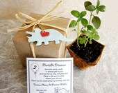40 Dinosaurs Plantable Pots and Birthday Party Favors - Plantable Paper - Personalized