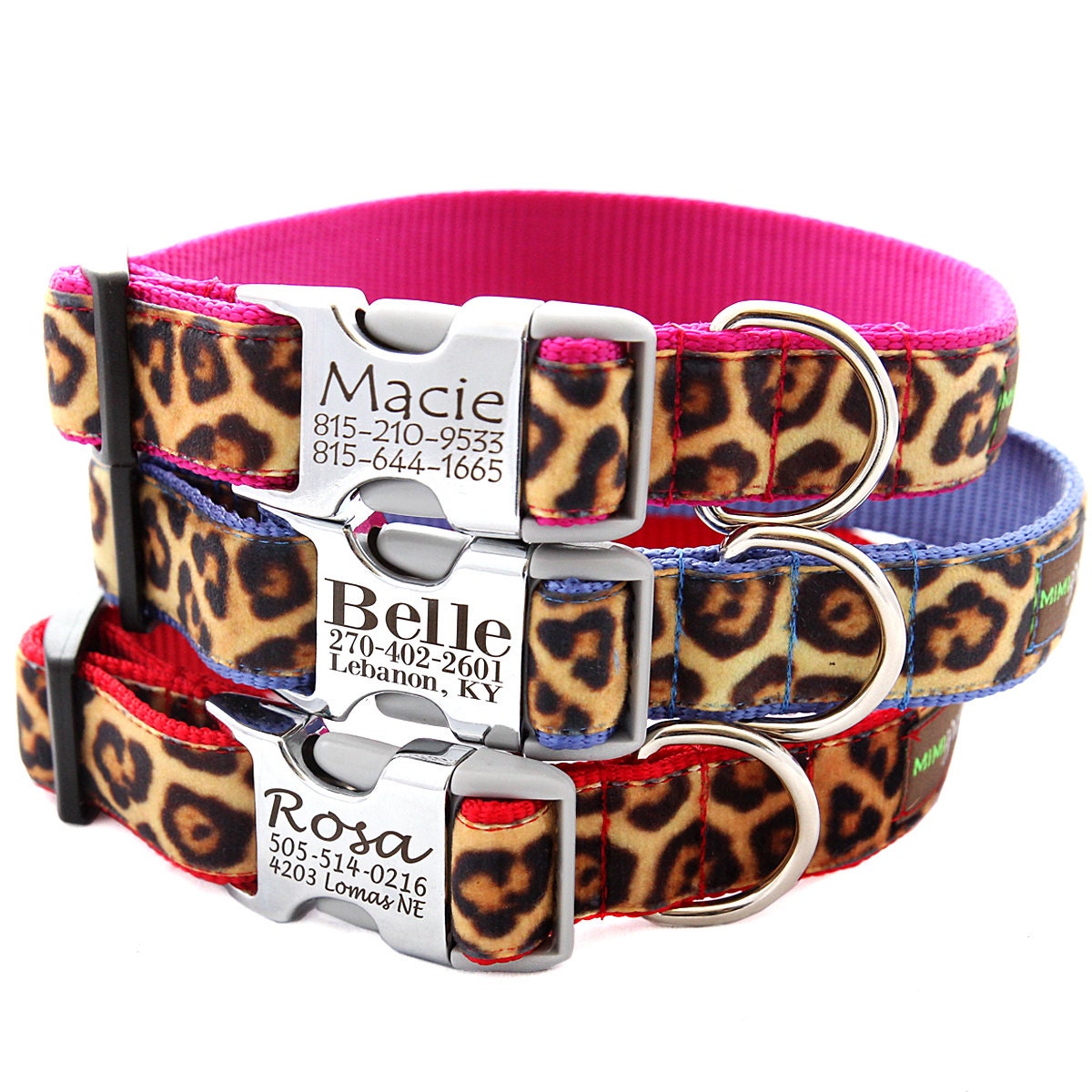 Personalized Engraved Buckle Dog Collar - Velvet Leopard - 8 colors