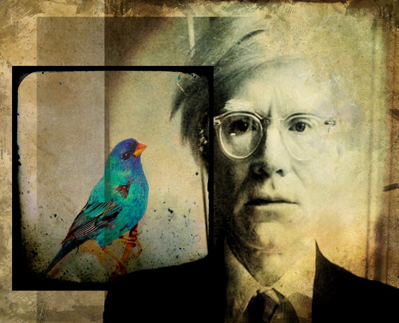 Andy and the Bluebird