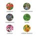 Eco Favor Boho Chic Vintage Inspired Wedding Seed Bombs - Personalized DIY Guerrilla Gardening Flowers