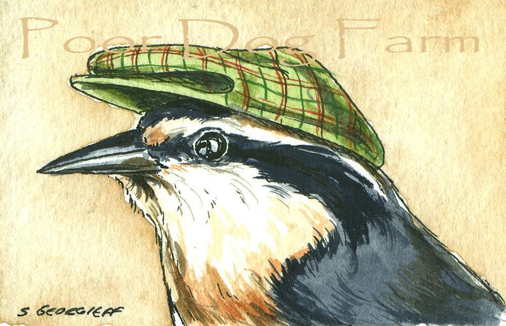 Red-Breasted Nuthatch in a Hat - Original ACEO Painting