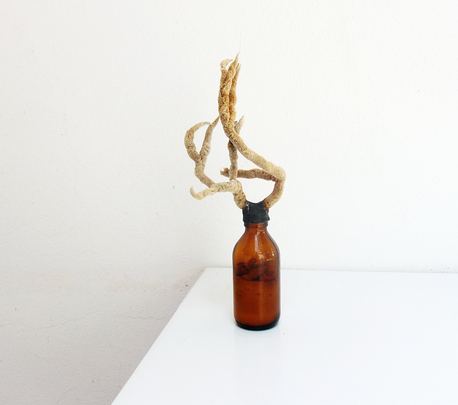 Sea Life Bottle - Sea Plant, Shells, Sand, Brown Glass