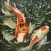 Koi fish portrait painting 50 20x20 inch original oil painting by Roz