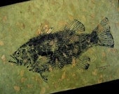 Largemouth Bass original Fish Rubbing (GYOTAKU) on Leaf Embedded paper