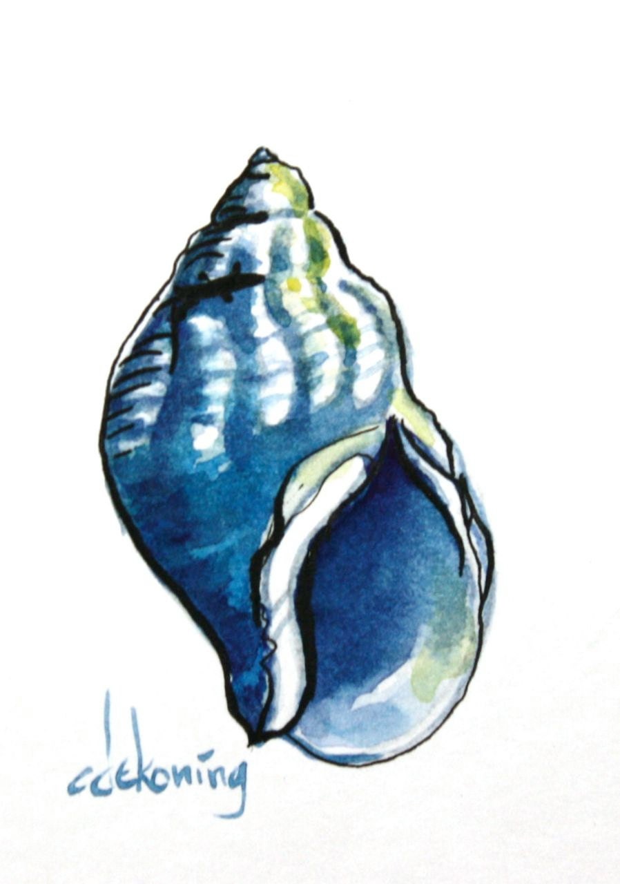 S A L E - Blue Snail Sea Shell in watercolour and ink original ACEO painting