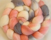 Merino- Hand Painted  Wool Roving - Mourning Dove