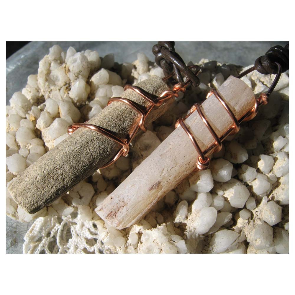 Fossil Tree Limbs - Limb Cast - Companion Pieces