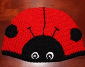 Ladybug Beanie - All Sizes