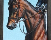 Original Painting Art ACEO Bay Horse at Devon