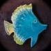 Ceramic Fish wall tile