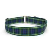 1" dog collar Tartan Plaid Kilt martingale or buckle dog collar