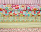 So Happy Together quilt or craft fabric bundle by Riley Blake Designs- Yard Bundle, 6 total