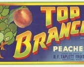 5 Old Vintage FRUIT CRATE LABELS