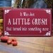 It Was Just A Little Crush Valentine Wood Sign Wall Decor